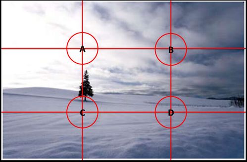 九宫格元素分布的节奏感构图