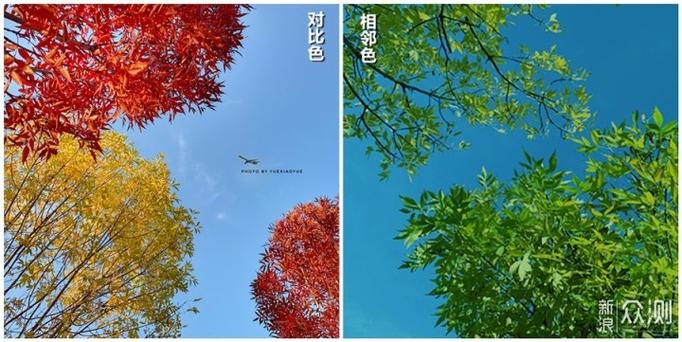 颜色对摄影构图平衡的影响，主题不显眼怎么办