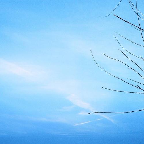 怎样让摄影构图更简洁？有哪些常识