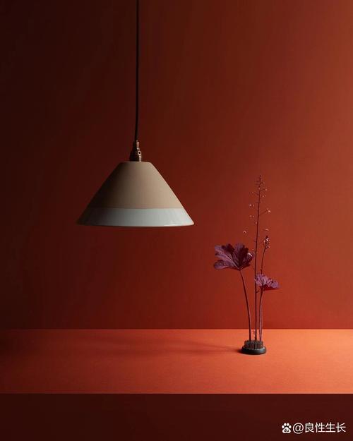 简洁构图在不同摄影题材中的应用（如静物、风景等）