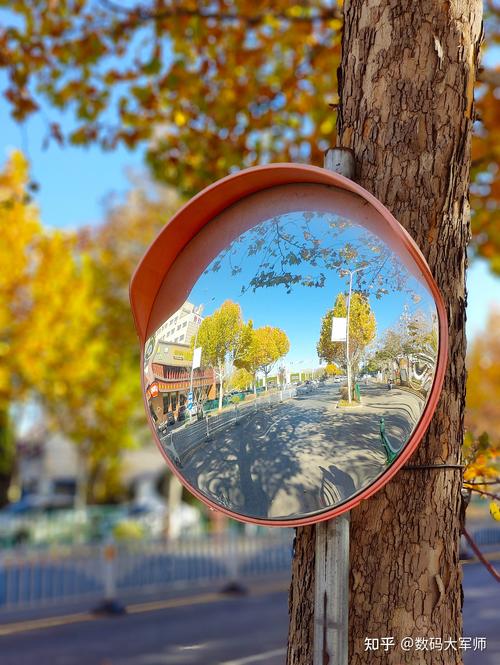 选择合适背景使照片更上镜