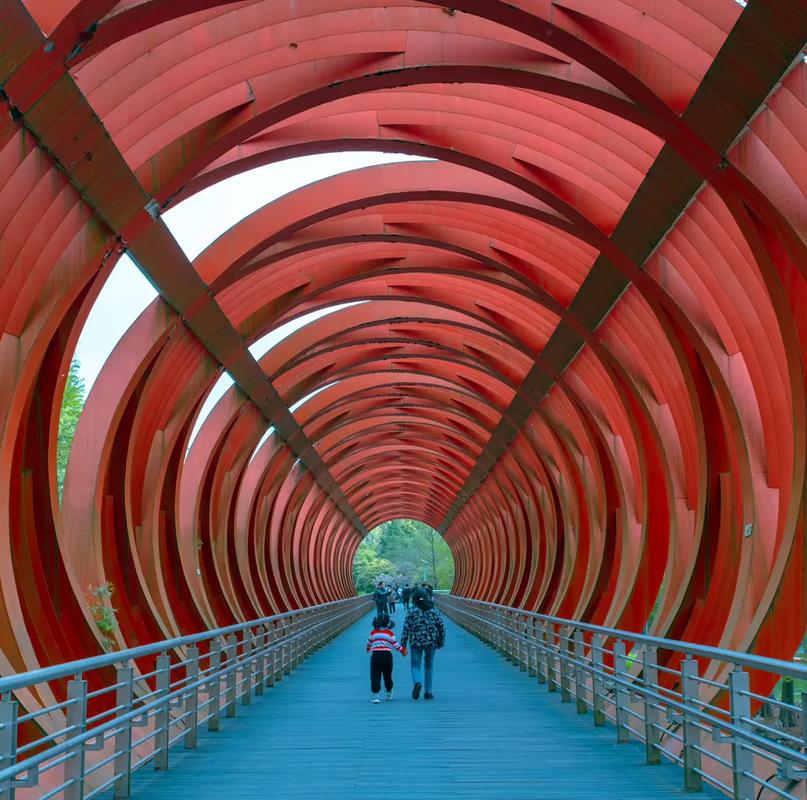 公园拍照湖泊景色构图方法,光线运用