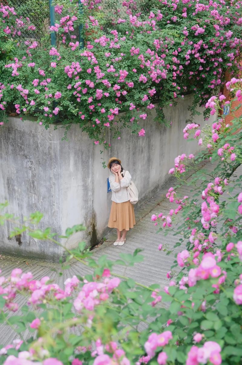 公园拍照花卉拍摄,自然景观