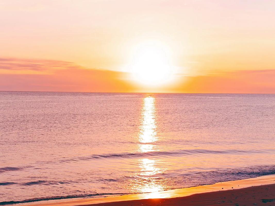 公园拍照绿化景观,全景拍摄