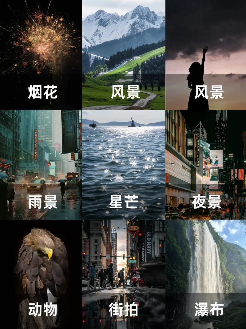 公园拍照绿化景观,全景拍摄