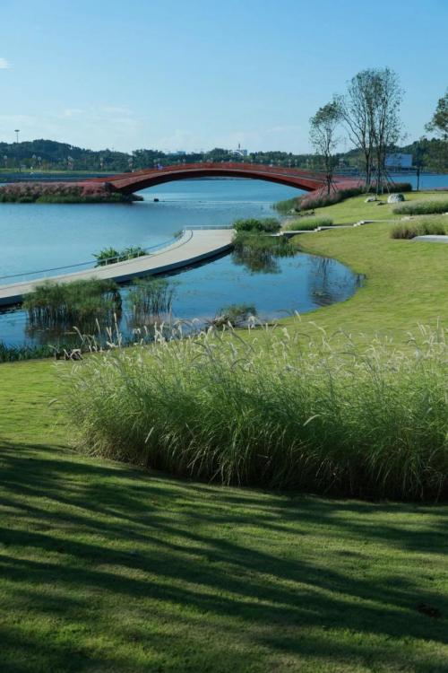 湖泊拍照生态景观周边环境怎么拍