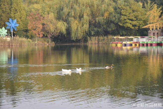 湖泊拍照生态景观周边环境怎么拍