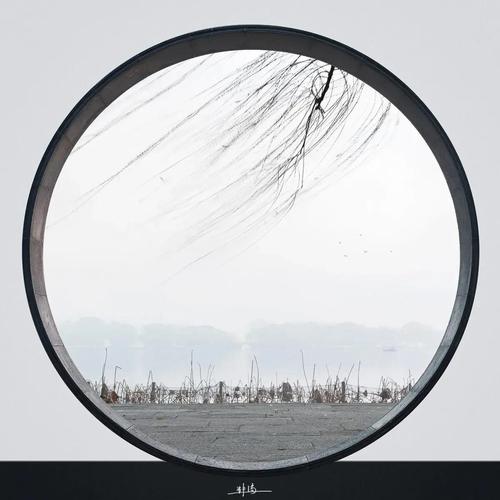 森林四季景色静谧氛围怎么拍？