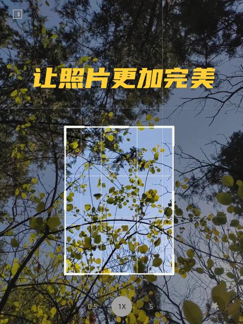 借助滤镜等工具优化色彩效果