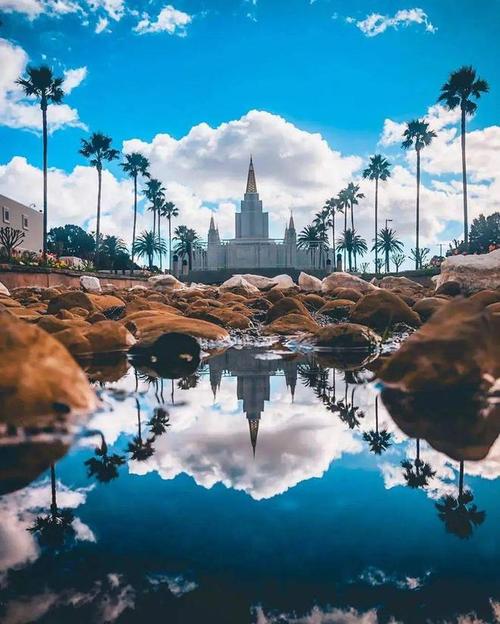 采用合适的拍摄角度与构图