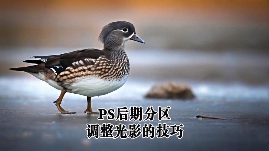 后期调整自然光效果的技巧