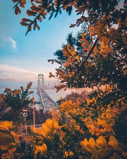 运用框架构图增添意境