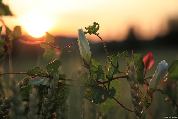 摄影怎么布置灯光？有哪些布光技巧