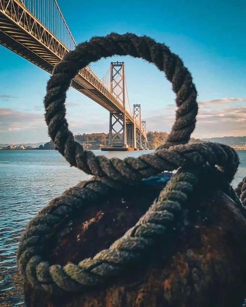 摄影怎么突出小物体？怎么构图