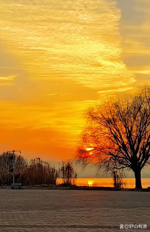 生活照背景图怎么修改？什么软件能改