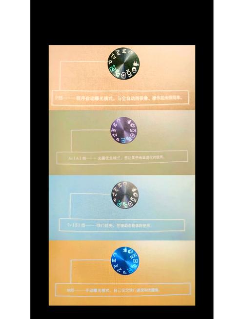 初级摄影证怎么考？要学哪些知识