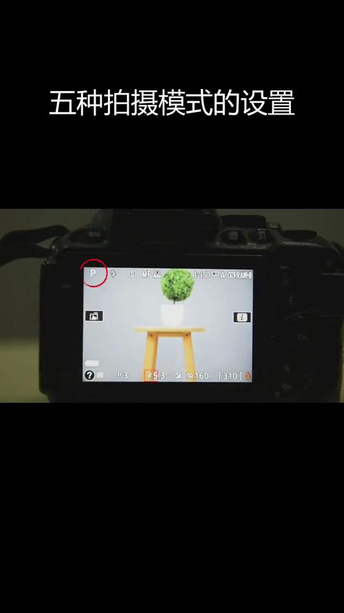 第一次拍照怎么拍？要注意什么？