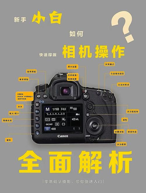 动态拍照怎么换成静态拍照？哪里调