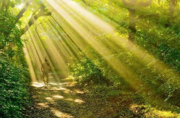 氛围光效怎么弄？能不能滤镜替代