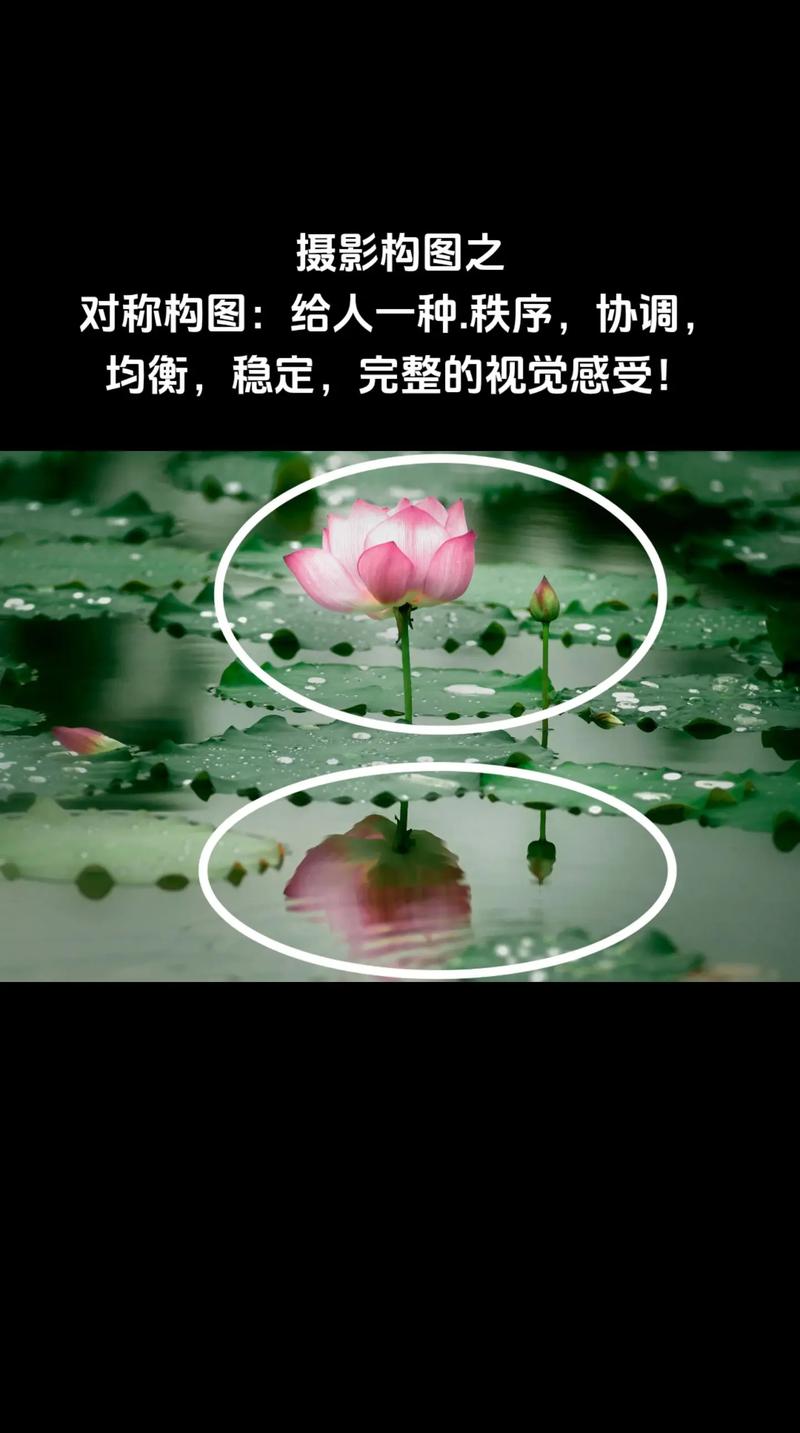 构图法应该怎么讲？有哪些构图技巧