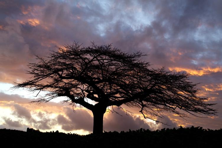 街景怎么拍出好照片？怎么构图