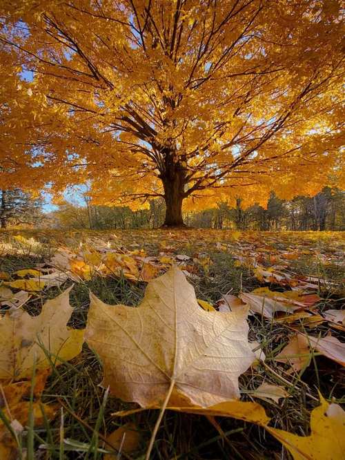 注意画面的简洁性，避免杂乱无章