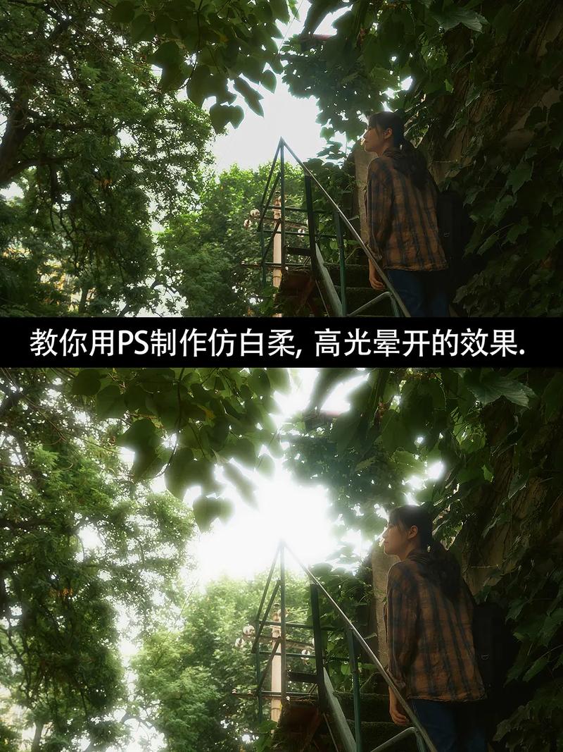 最美证件照打光技巧，怎么让无关更立体