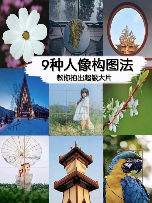 如何利用软件提升拍照构图水平