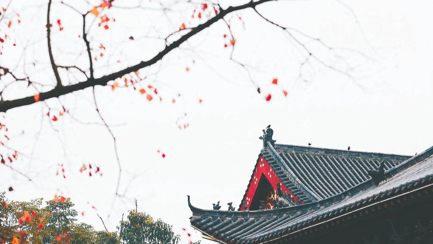 专拍景色的照相软件有哪些？能拍出高级感的手机软件