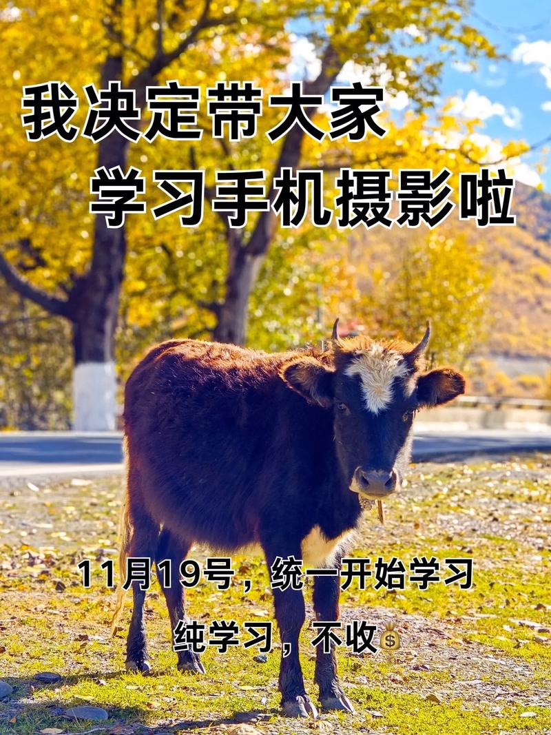 保持学习与持续更新的态度