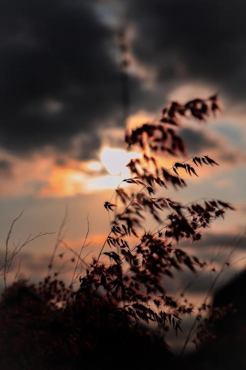 自己拍照动作怎么摆？怎么才能拍到全身