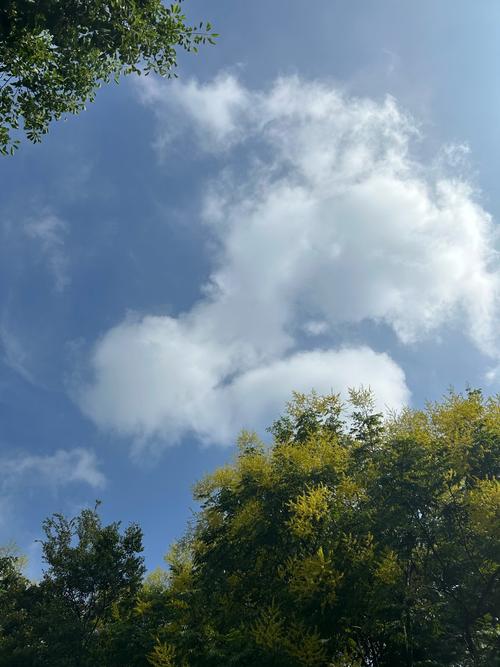 利用不同的天气条件