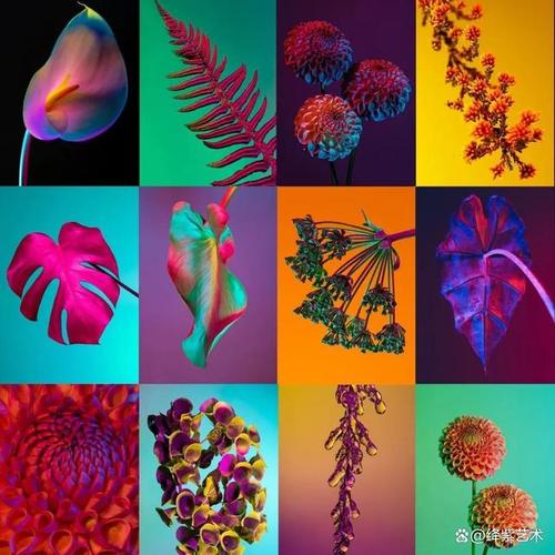 证件照打光灯怎么打？什么光线拍出来好看