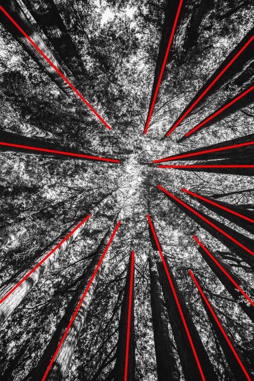 引导线构图适合有线条引导视线的场景