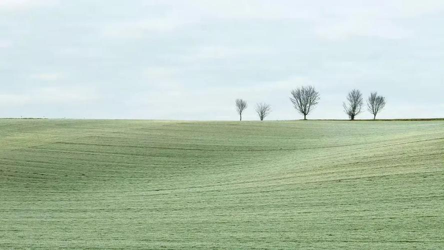 留白构图适合营造意境的简洁场景