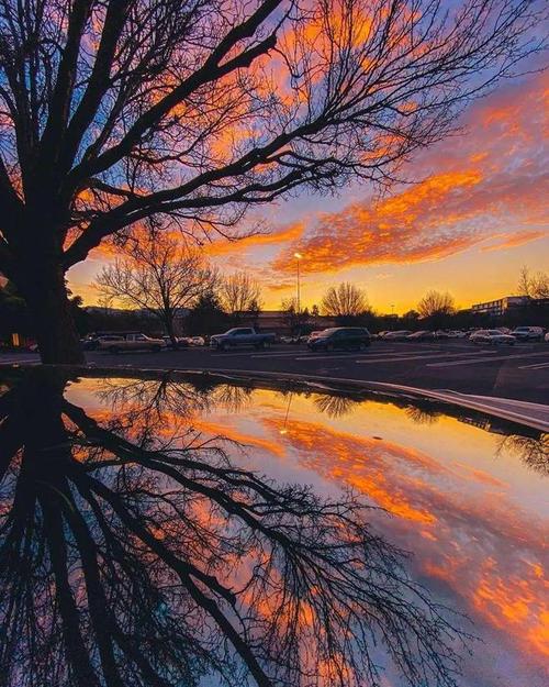 尝试不同的构图方式