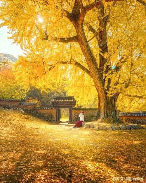 帮女朋友拍照角度技巧，怎么拍更好看