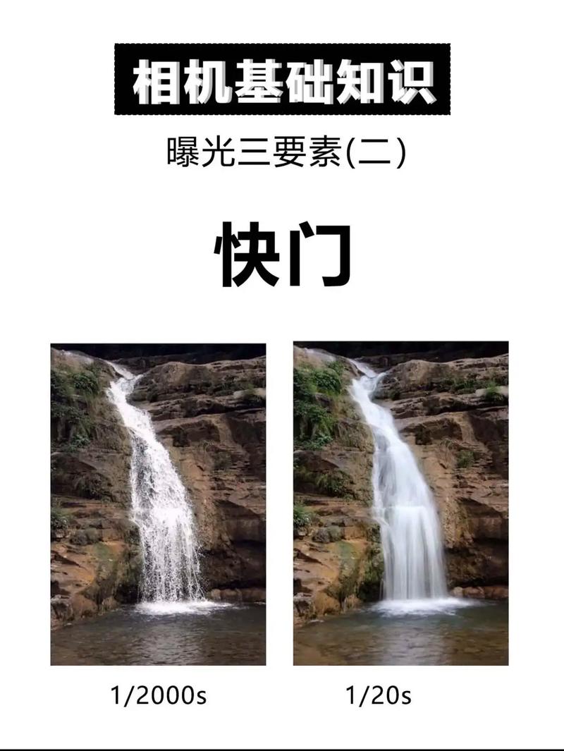 背光怎么拍出清晰的照片？怎么调焦距