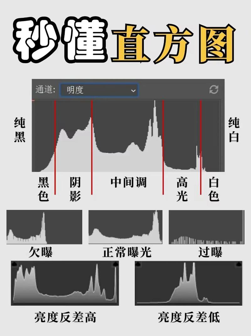 背光拍照怎么才能亮？需要调哪些参数