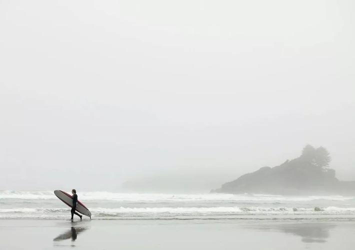留白构图法适合营造简洁意境的场景