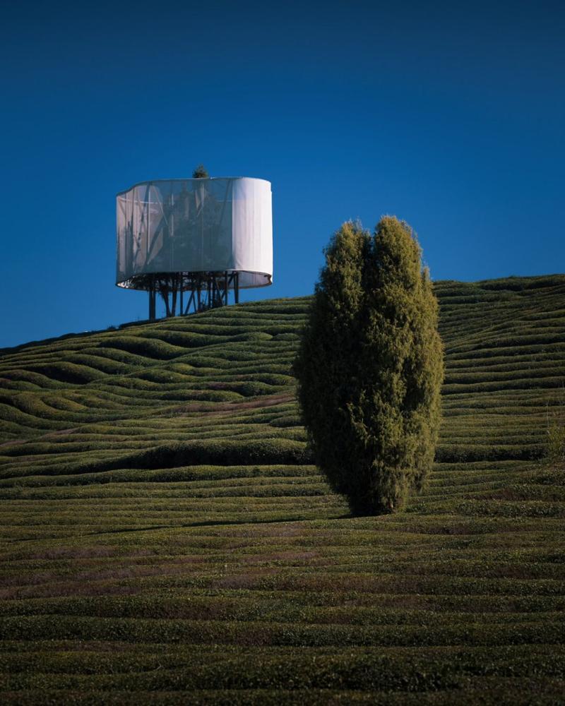 对比构图法适合突出差异与特点的场景