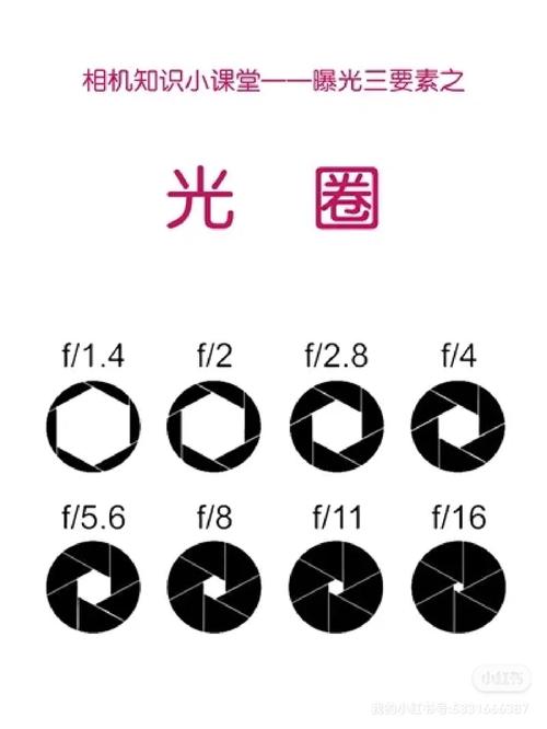 单反拍出来的照片模糊怎么设置?在哪里调参数