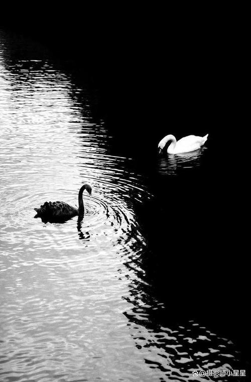 蛋糕拍照构图方法有哪些？怎么布局比较好看