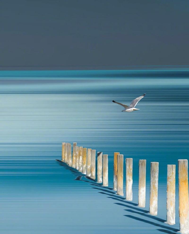 蛋糕拍照怎么布局？怎么拍照显大