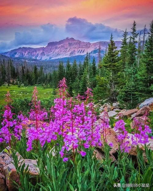 倒影特效怎么操作？要调哪些参数