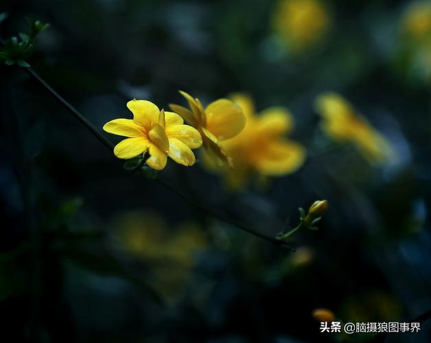 利用后期处理锦上添花