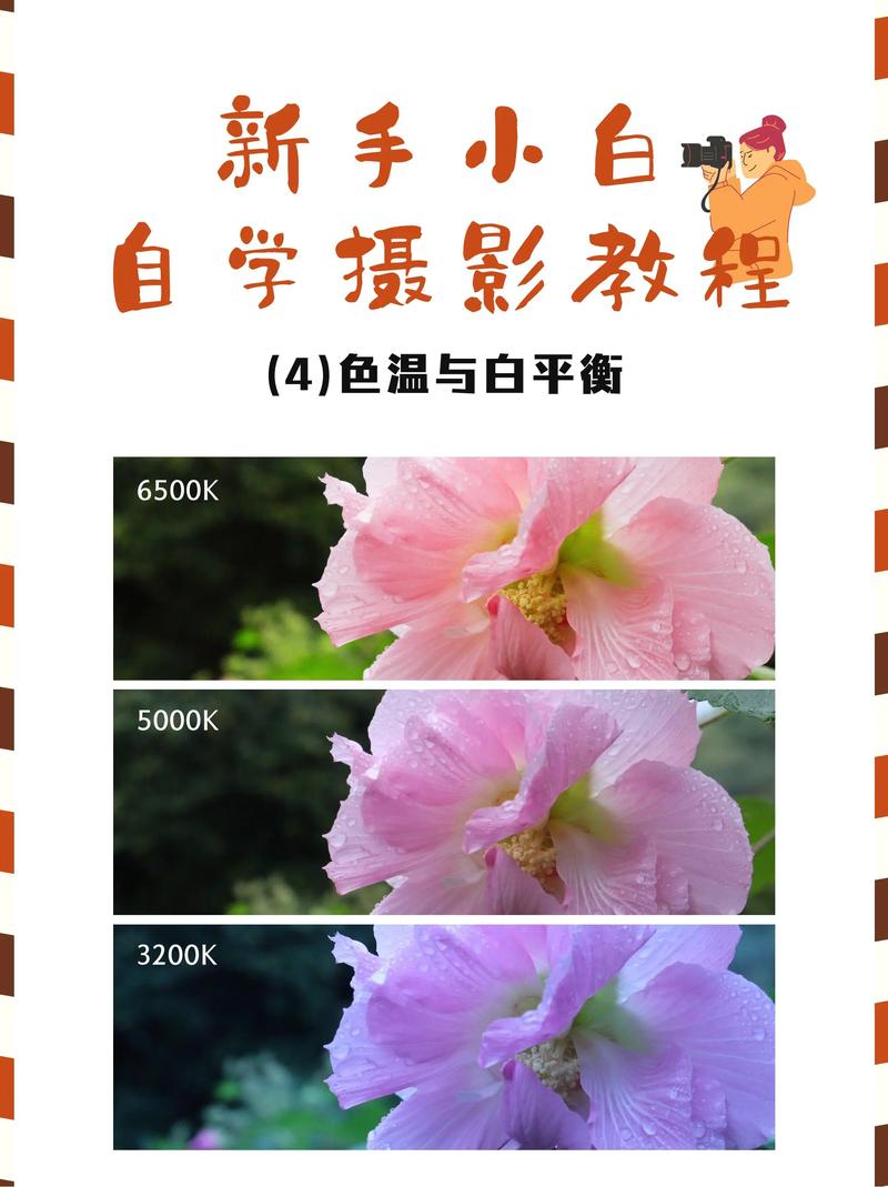 低饱和度照片怎么调?怎么调出更好的色调