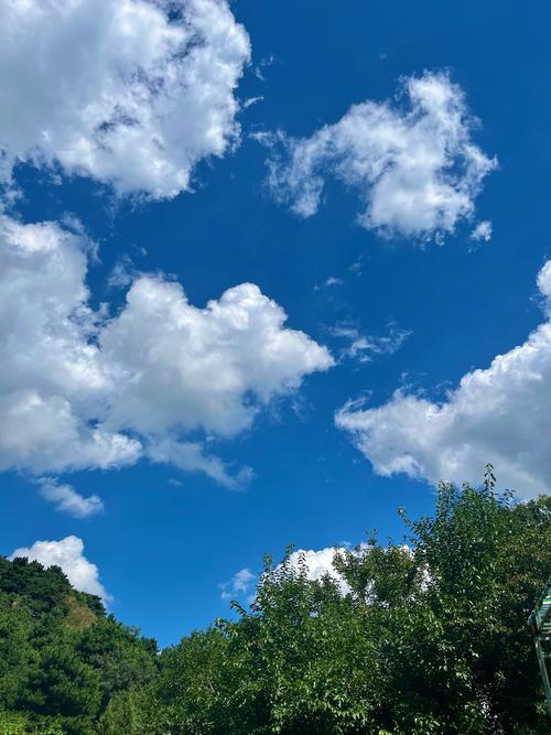 顶光人物照片怎么拍？调什么参数更好看