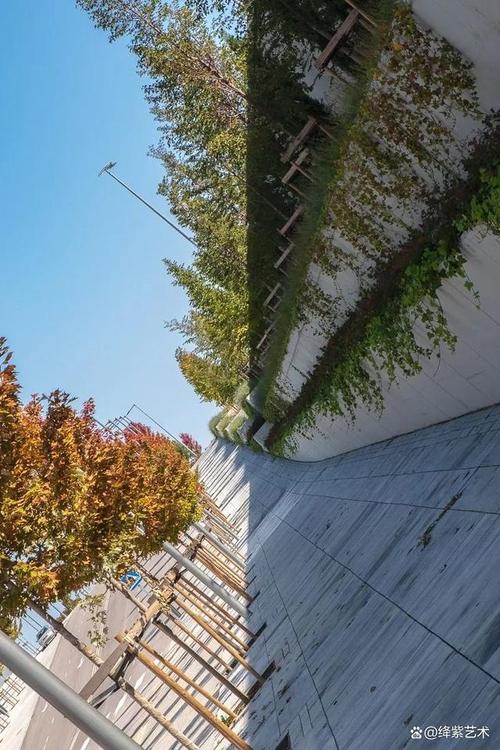 尝试对称构图营造秩序感