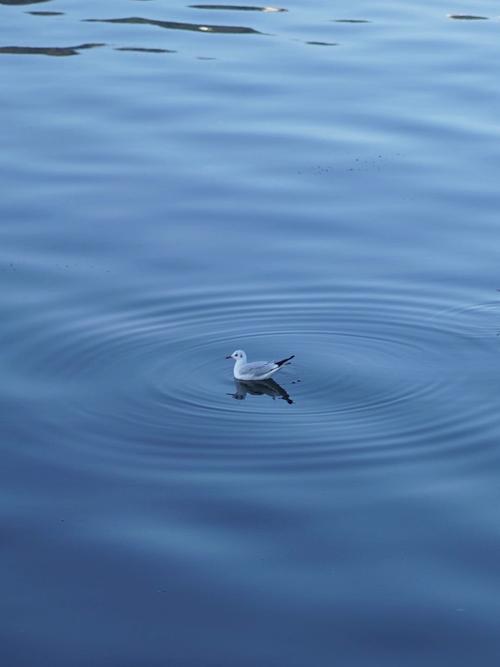 风景拍照技巧与方法有哪些？怎么拍出高级感